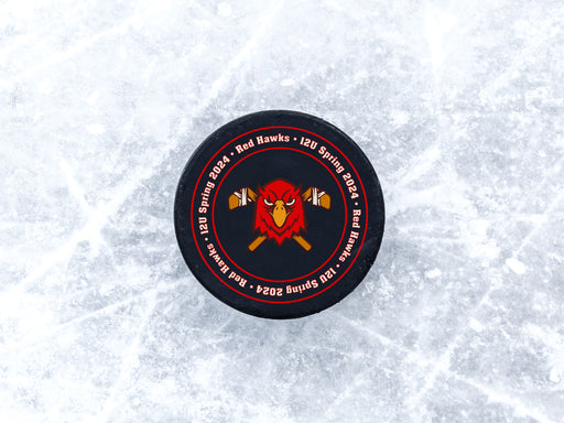 a hockey puck sitting on top of ice