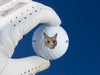 white gloved hand holding white titleist golf ball with photo cat face on it against a dark blue background
