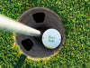 single white titleist golf ball in golf course hole next to pole surrounded by green grass text says Rod's Balls