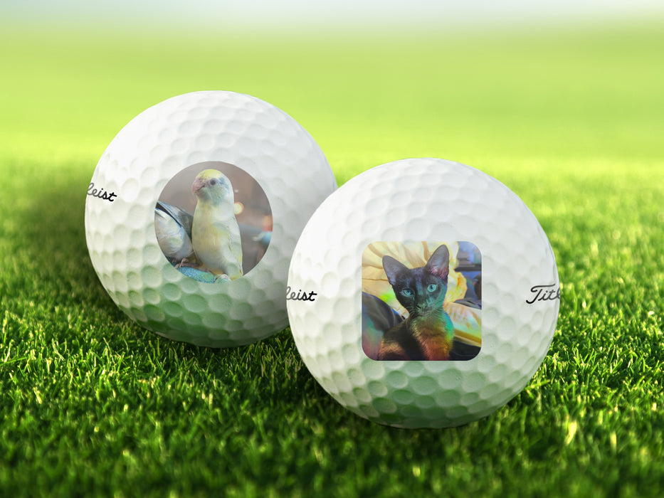 Two golf balls are shown on grass. Both golf show custom pet photos. One has a grey cat on it and the other has a photo of a bird.