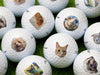 Multiple Titleist golf balls with different photos of animals are shown on top of golf course grass.