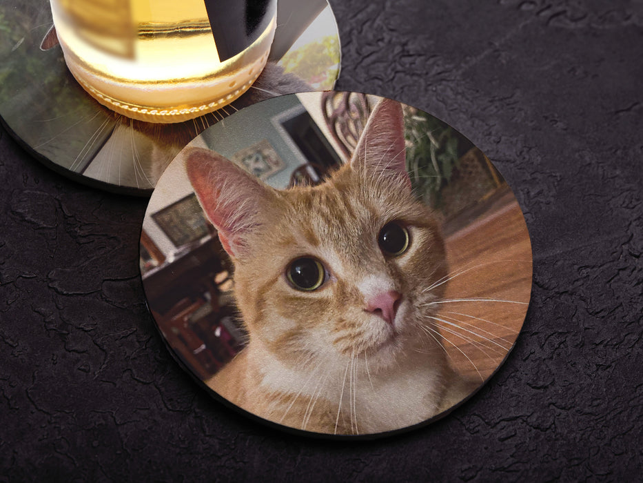 two paper photo coasters with pictures of cats under a beer bottle ontop of a black stone surface