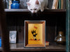single photo frame of retro halloween artwork of a zombie mummy cat paw grabbing a candy on wooden shelves with books with a white cat looking down on photo