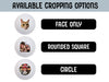 Available cropping options: face only, rounded square, circle 