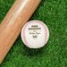A baseball and wooden baseball bat sits on a green grassy background. The baseball has a year, player's name, number, and school name engraved into it. This design features a home plate graphic below the other text.