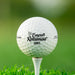 Single white Titleist golf ball with Congrats On Your Retirement design on white golf tee with golf course grass in the background