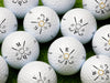 Multiple Titleist golf balls shown with different initials and dates on each ball. Golf balls sit on a grassy surface.