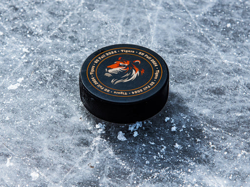 Hockey puck on ice rink with an orange tiger design with the wordsTigers, 8U Fall 2024