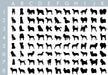 Grid shows dog silhouette options.