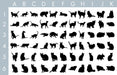 Grid shows cat silhouette options.