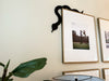 A black door frame topper, designed with the silhouette of a slithering snake, is seen on top of a picture frame. A plant is seen in the foreground slightly blurred. The wall behind is beige.