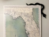 A black door frame topper, designed with the silhouette of a slithering snake, is seen on top of a canvas with a map of Florida on it. The wall behind is grey blue.