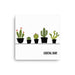 Canvas print with Looking Sharp design. Design features a variety of green cacti in pots with the words "Looking Sharp". Design is printed on a white canvas.
